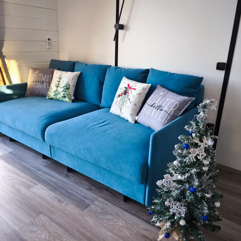 Zavidovo River house