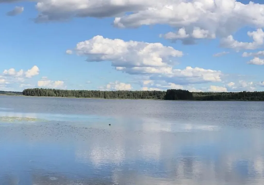 Коттедж Коттедж Селигерское — Березово