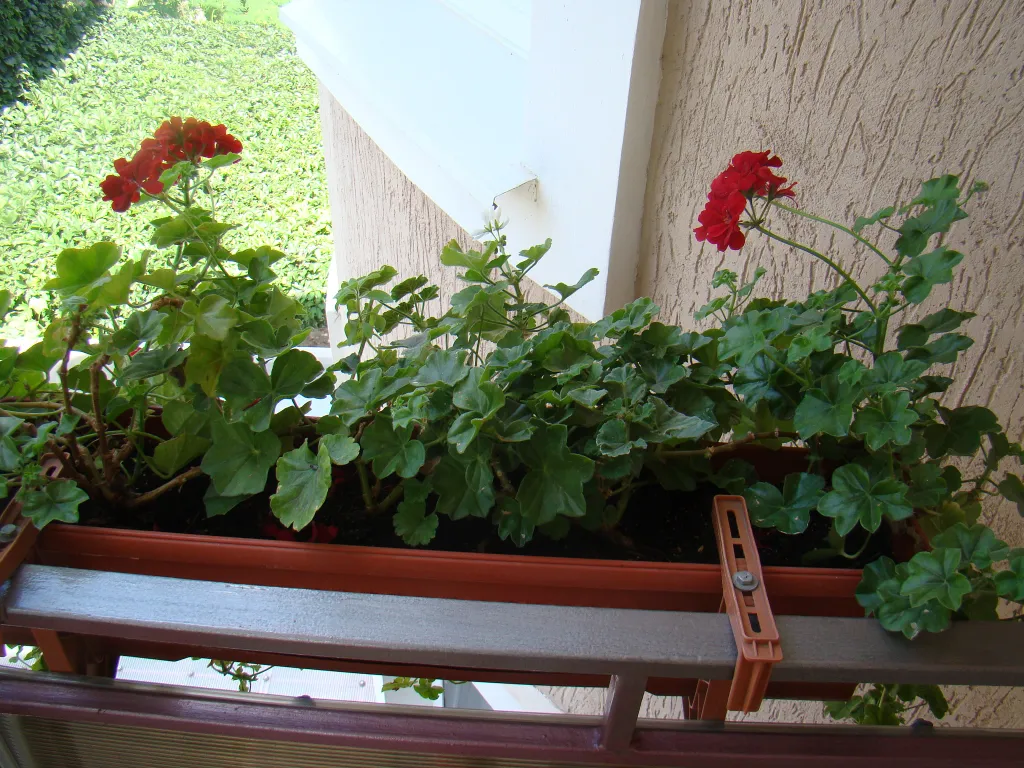 Квартира Лимонная комната — Феодосия