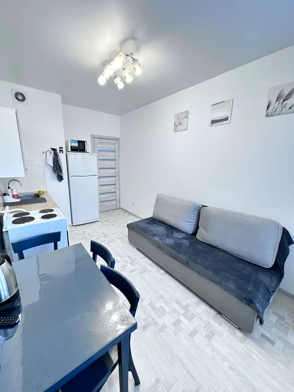 Светлая квартира в Центральном районе рядом с ЦИВС и Ареной