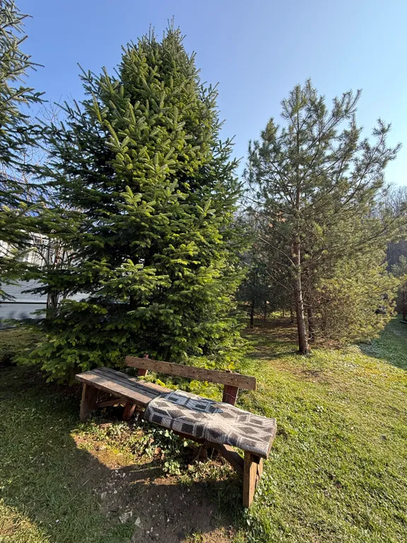 Квартира Жилая комната в деревянном домике четырёхместная — Апшеронск