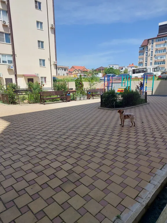 Однокомнатная квартира в посёлке — аренда посуточно в Мысхако