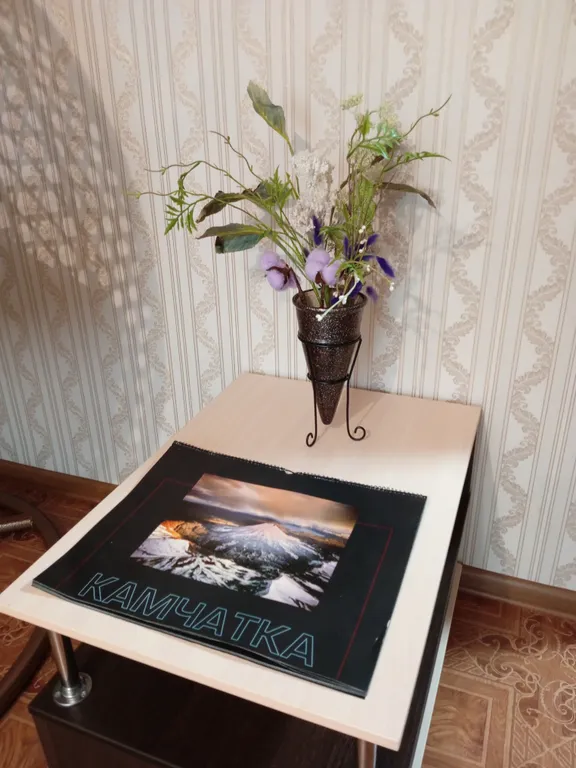 Уютная квартира в развитом районе