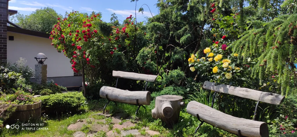 Студия в тихом уголке