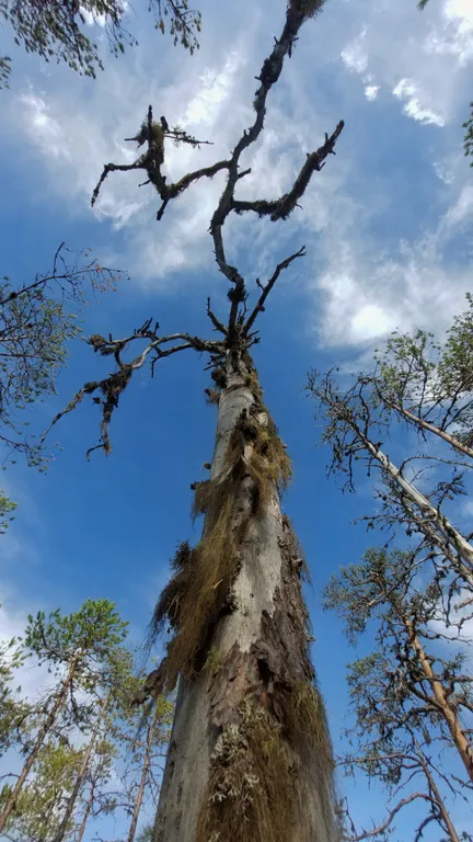 Коттедж Дом с видом на озеро — Крошнозеро