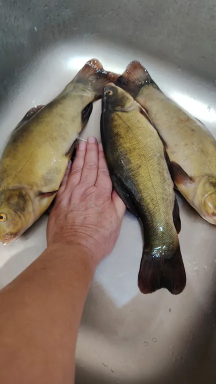 Дом у реки, банный чан, пирс, рыбалка, все для вашего отдыха