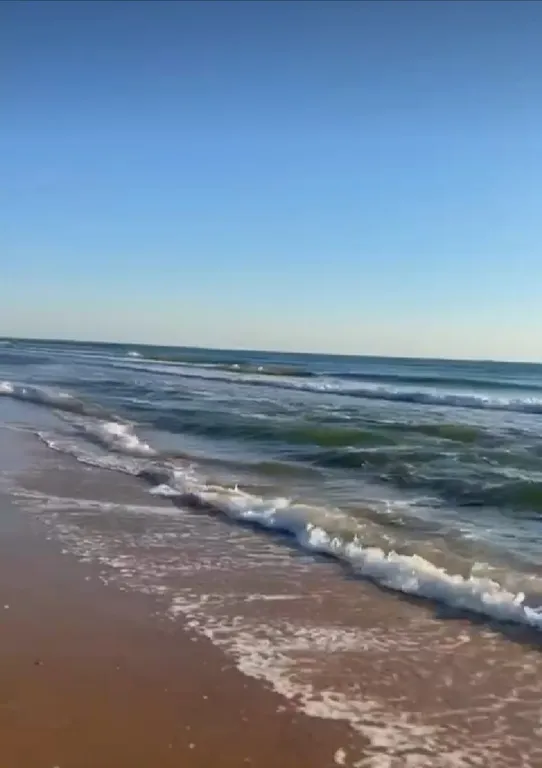 Апартаменты с видом на море с балконом на побережье Каспийского моря