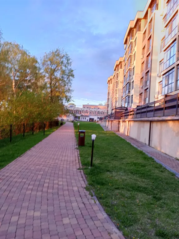 Апартаменты в сосновом лесу