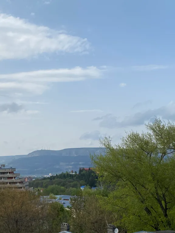 Лесная сказка