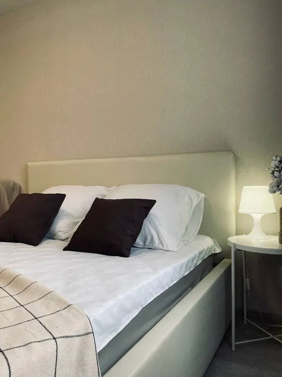 Стильная и уютная квартира от сети гостевых квартир СОВА