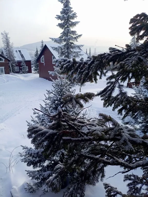 Уютный дом с видом на гору