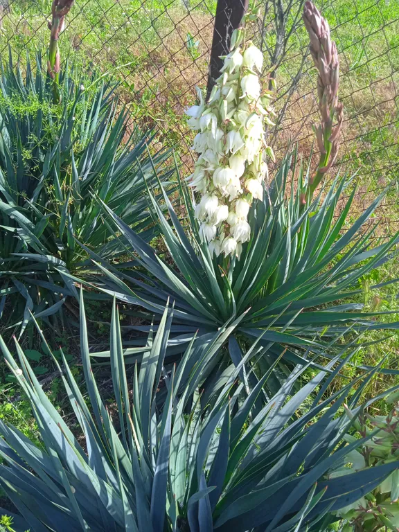 Гостевой дом "У Тузика", дом на 5-7 человек