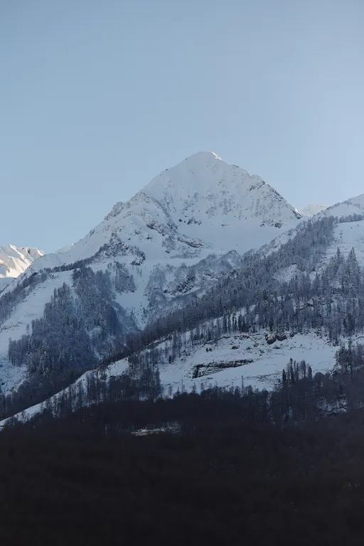 Семейный апартамент 45