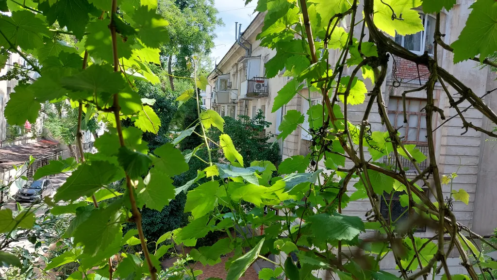 Квартира Атмосферная квартира в центре города рядом с морем — Севастополь