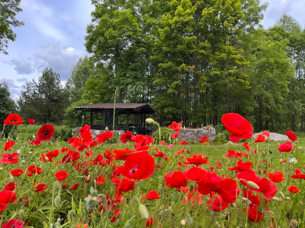 Гостевой домик на хуторе Керино