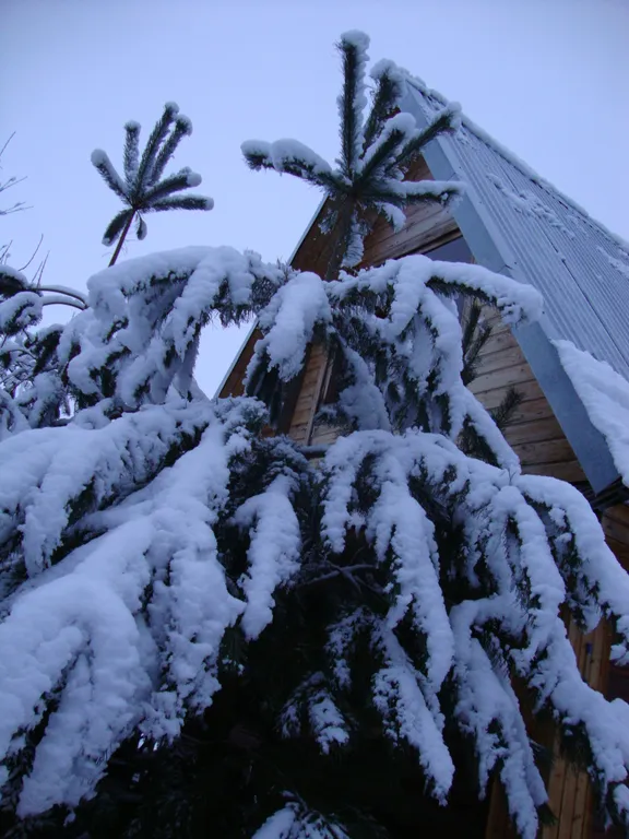 Благоустроенный домик с камином и лоджией на Селигере