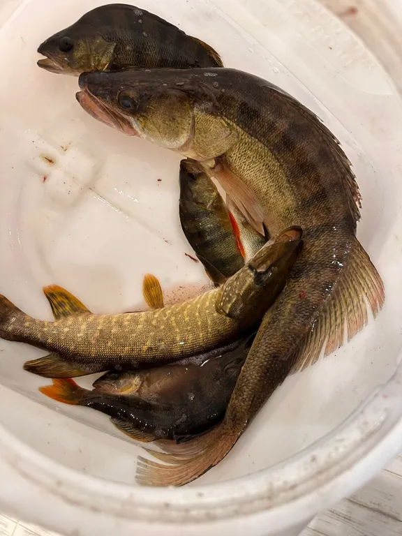 Уютный домик посуточно в тихом месте на Рыбинке