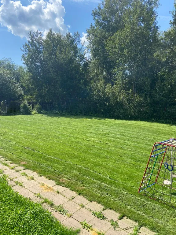 Уютный дом с сауной у леса