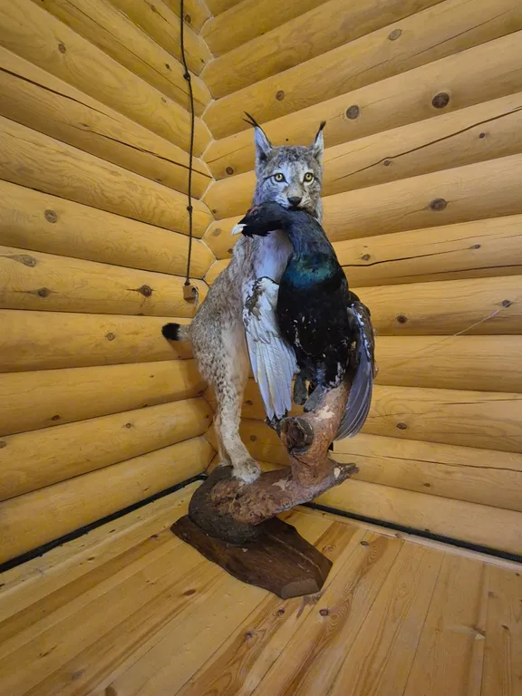 3-комнатный Дом