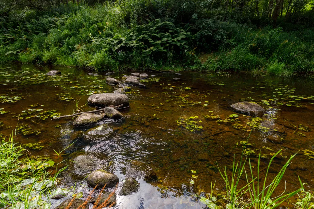 Палатка лесной домик на базе отдыха Белка