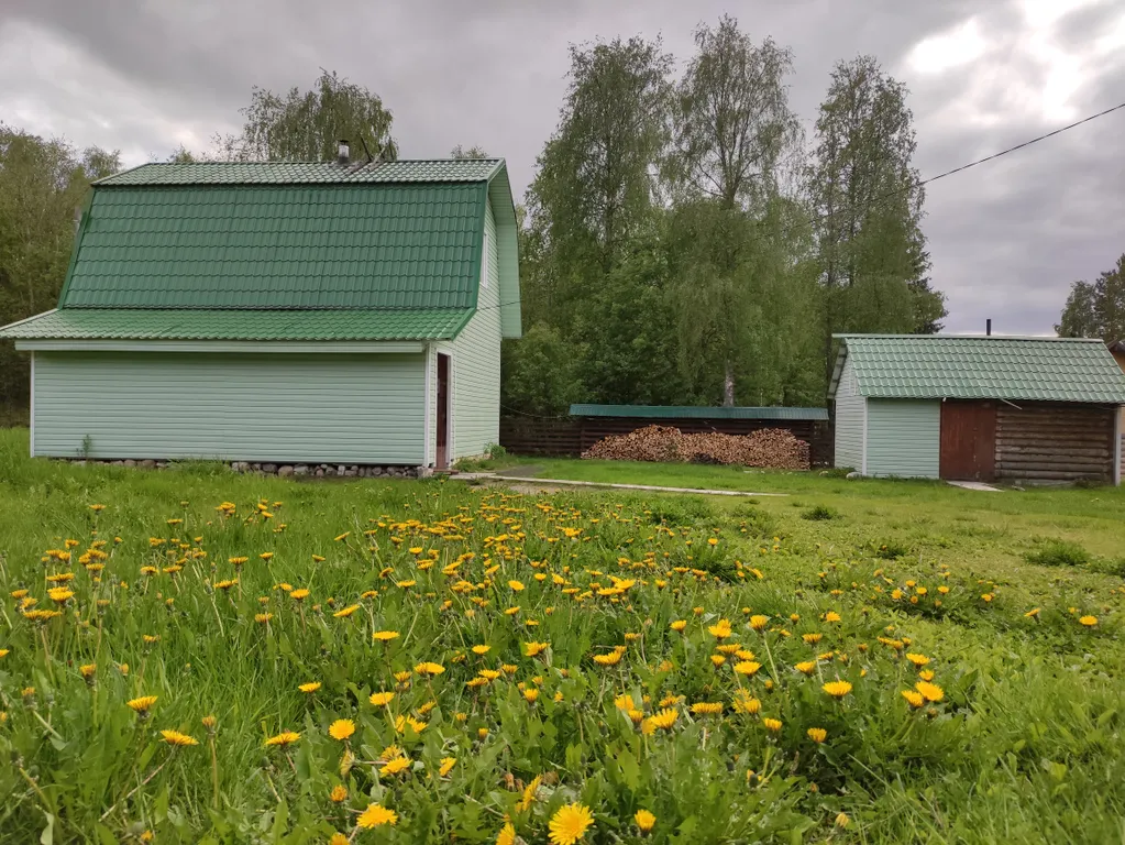 Киви со сливками