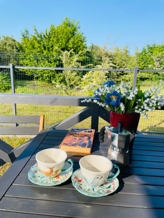 Тот самый Норвежский дом - бунгало