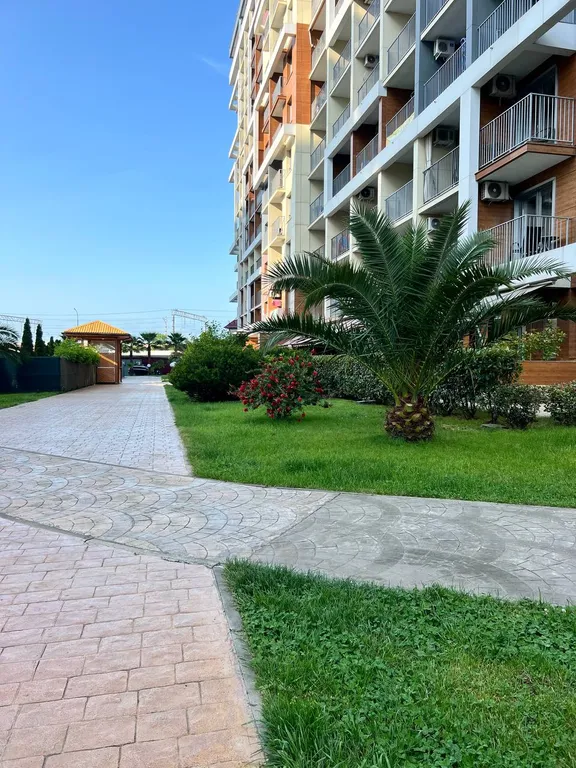 Каравелла Португалии