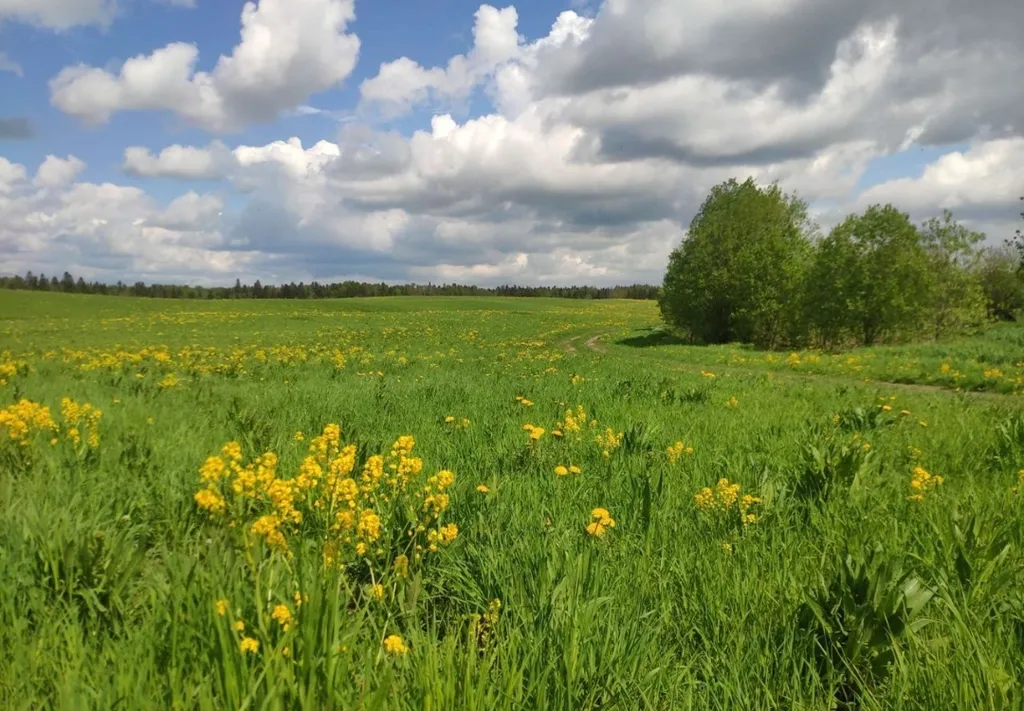 Коттедж 2-комнатный Дом — Красное Село