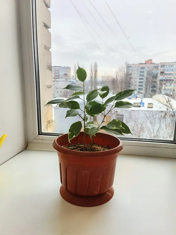 Уютная комната возле автовокзала