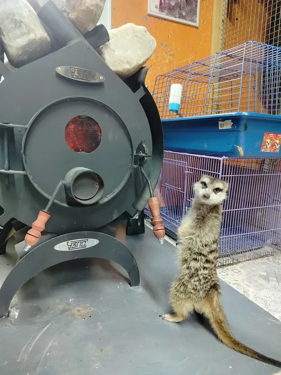 Гостевой дом Северянка