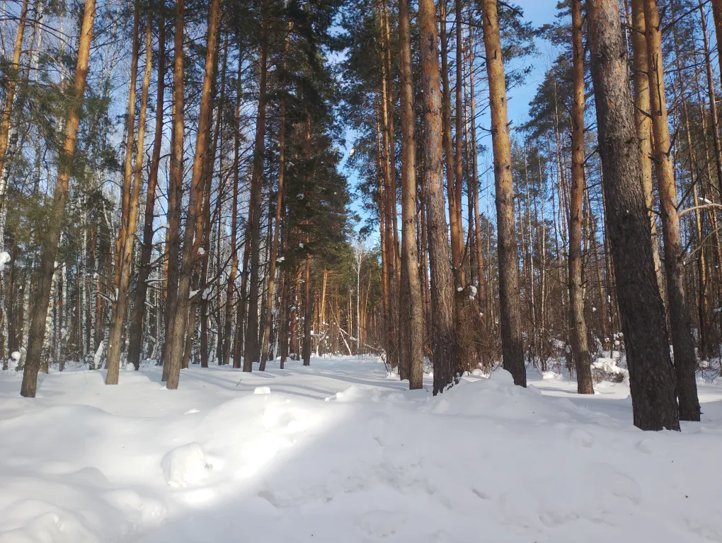 Коттедж Коттедж рядом с озером — Казань