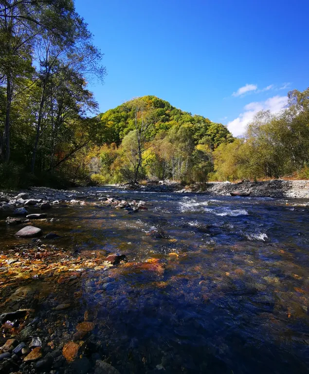 Современная квартира вблизи моря