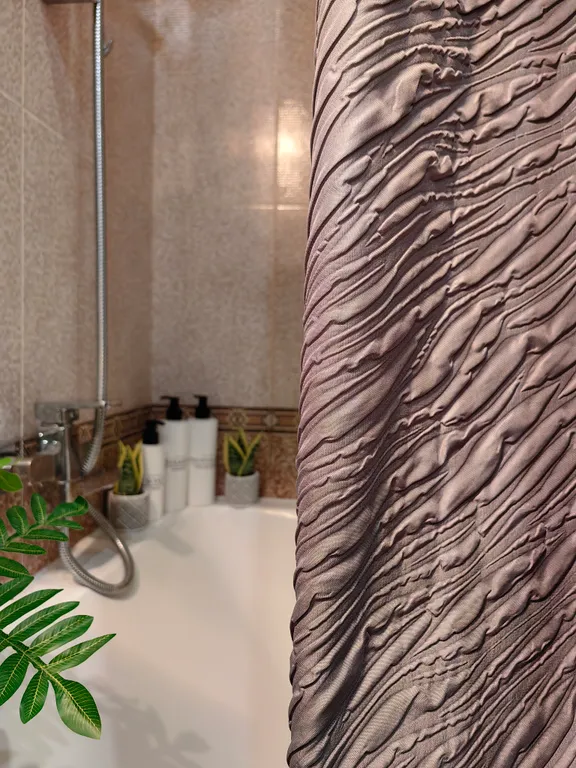 Просторная квартира у Волги, Евродвушка