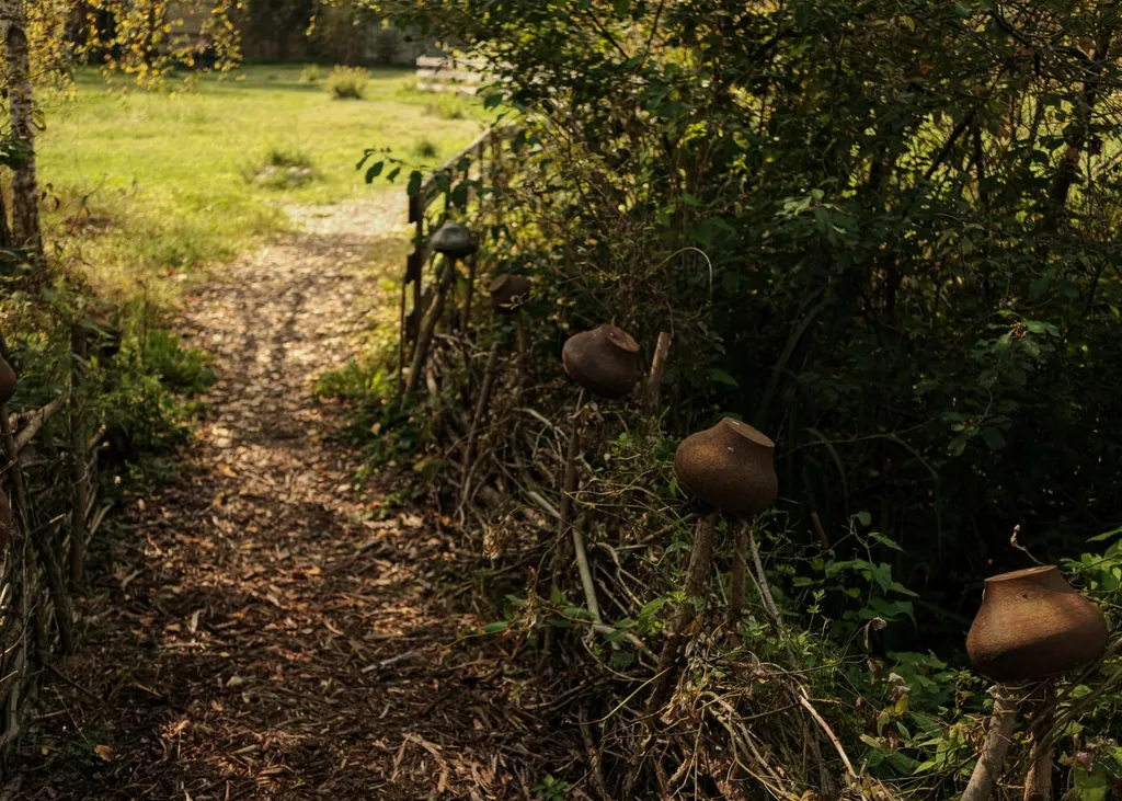 Чудо-дача, дом Акула на берегу пруда