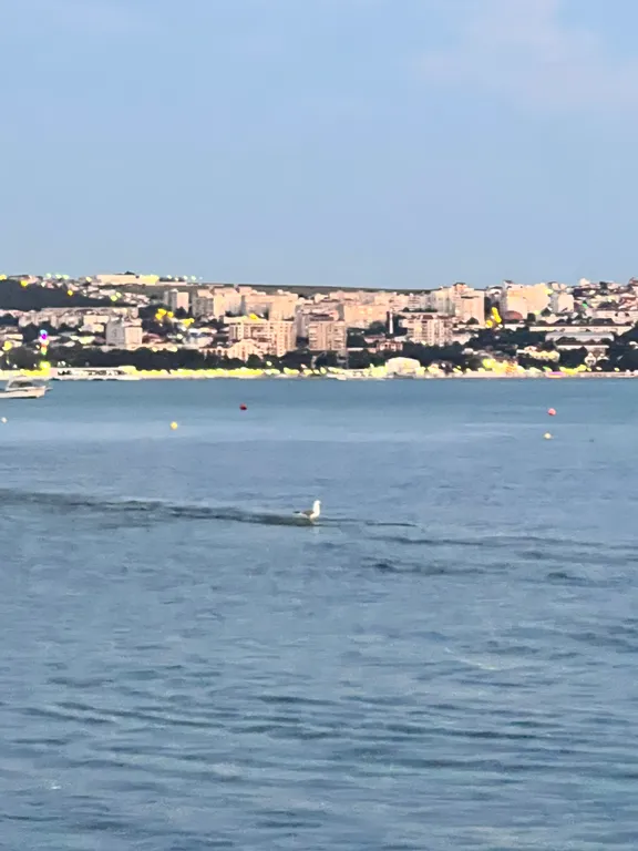 Квартира Комната — Геленджик