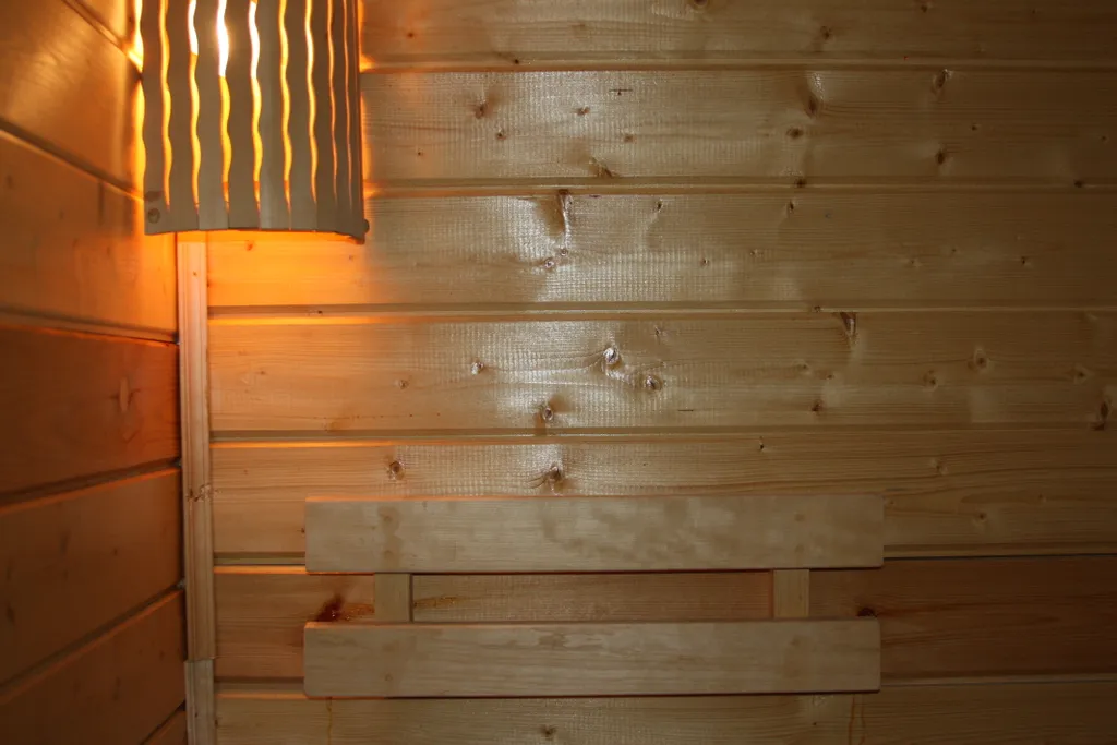 Дом с русской баней внутри.