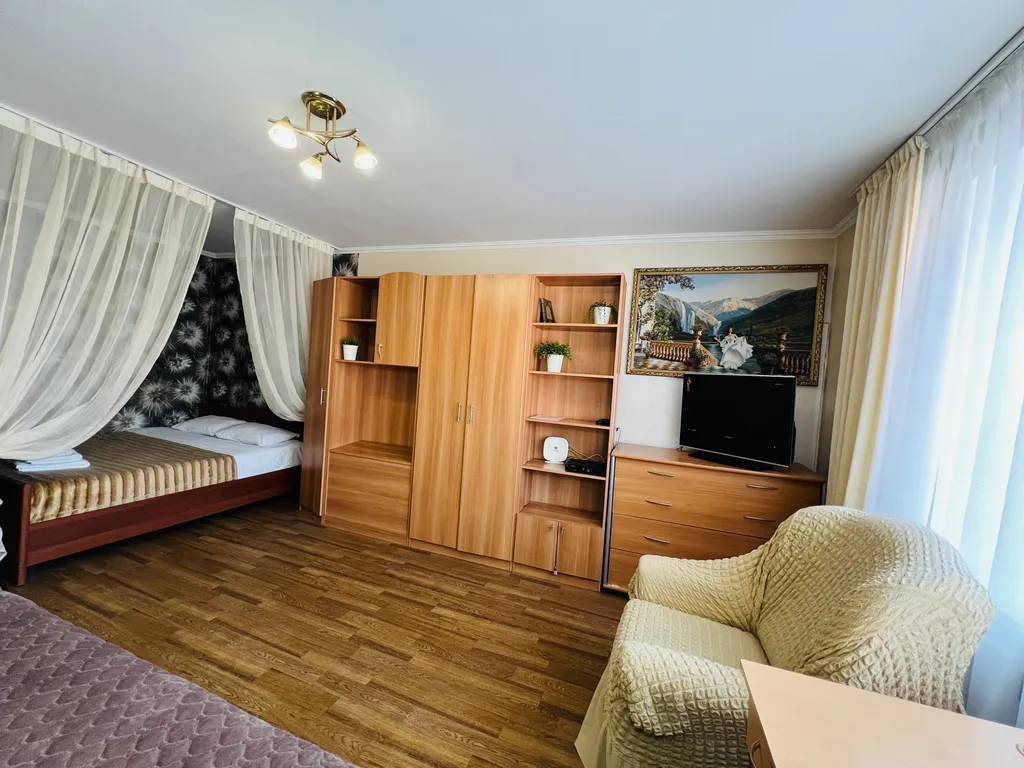 1-комнатная квартира в деловом и историческом центре города с новогодней елкой