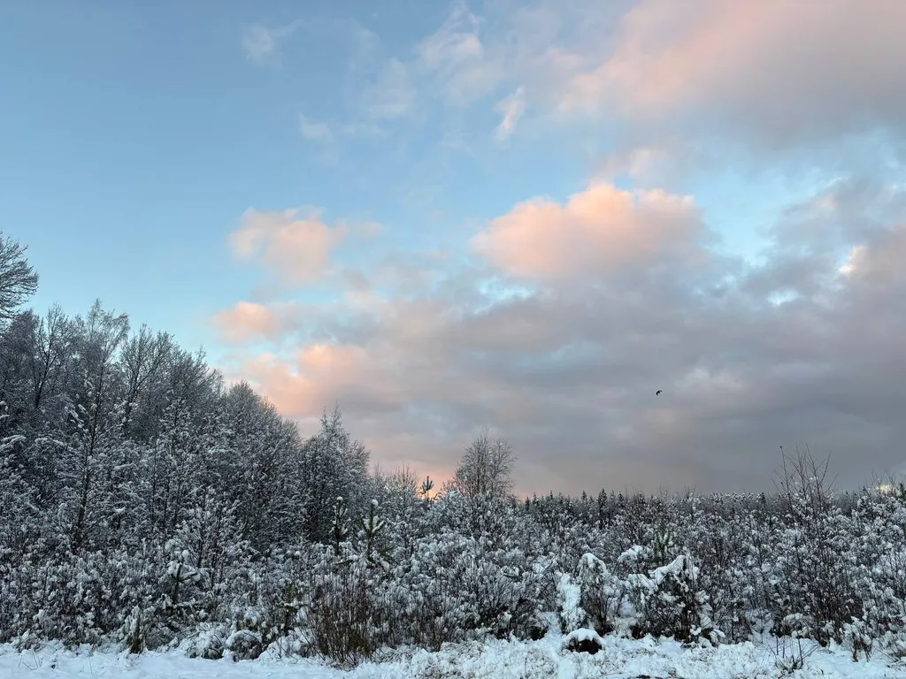 4-комнатный Дом