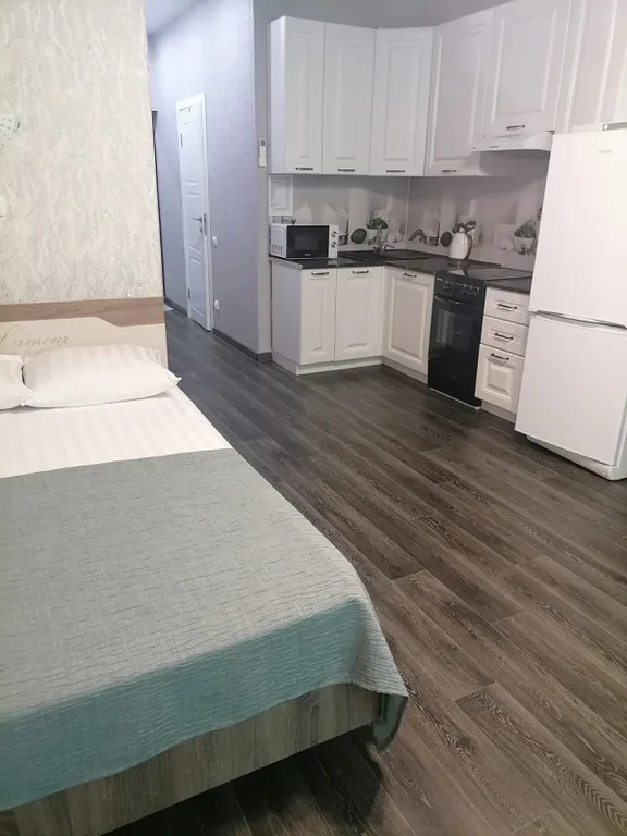 Квартира Уютная квартира недалеко от центра с отличной локацией — Сириус