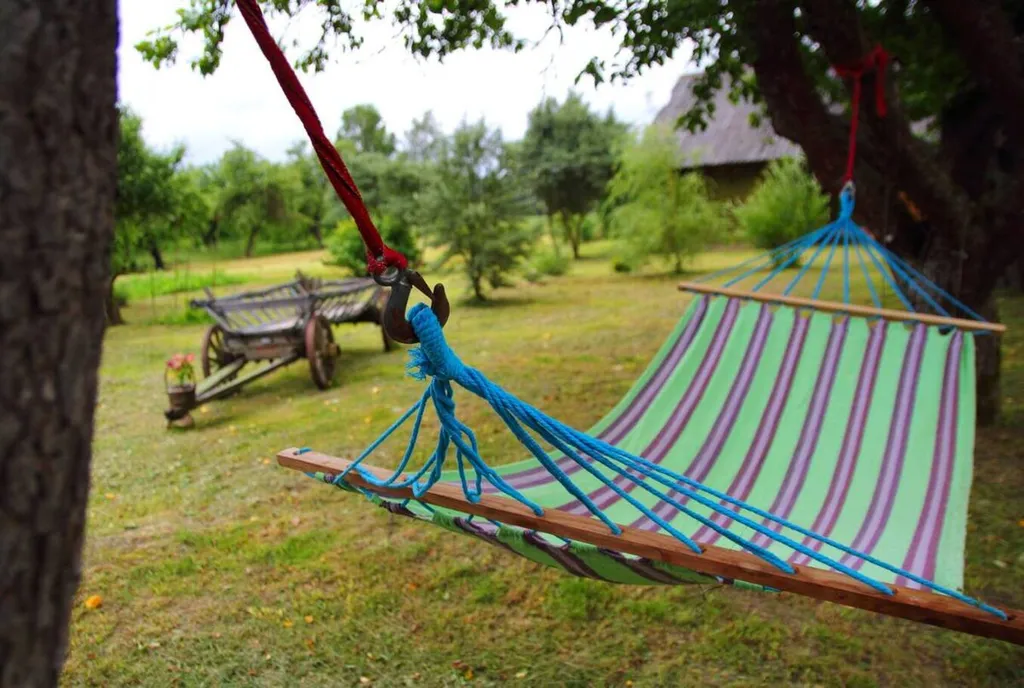 Усадьба Синий кот и лаванда