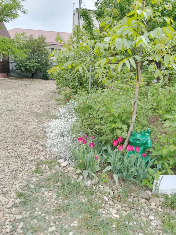 Деревянный коттедж для всей семьи