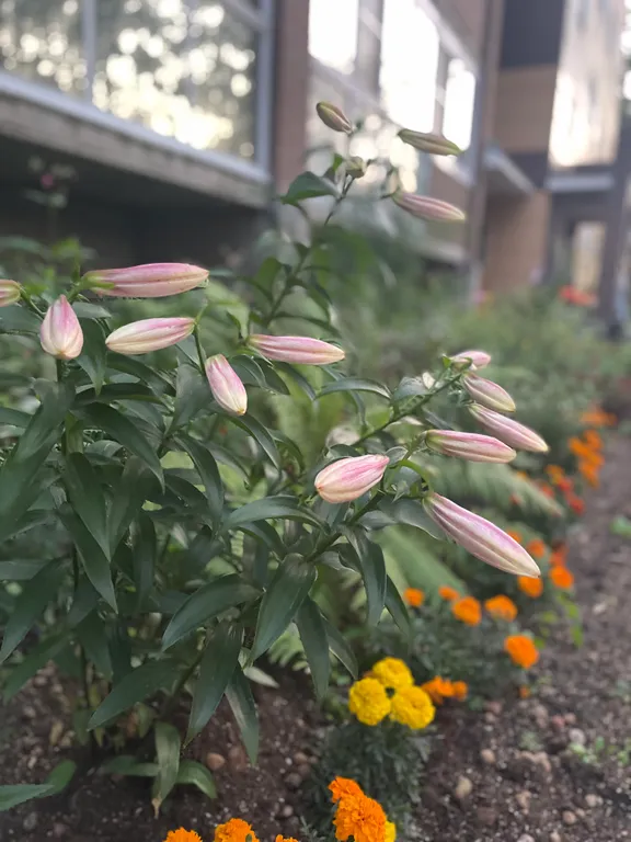 Новая квартире в ретро стиле