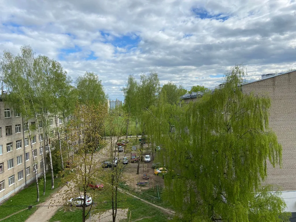 Квартира Египет в ЖК Белый Аист