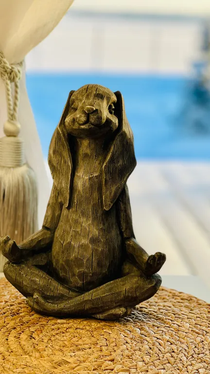 Белый кролик