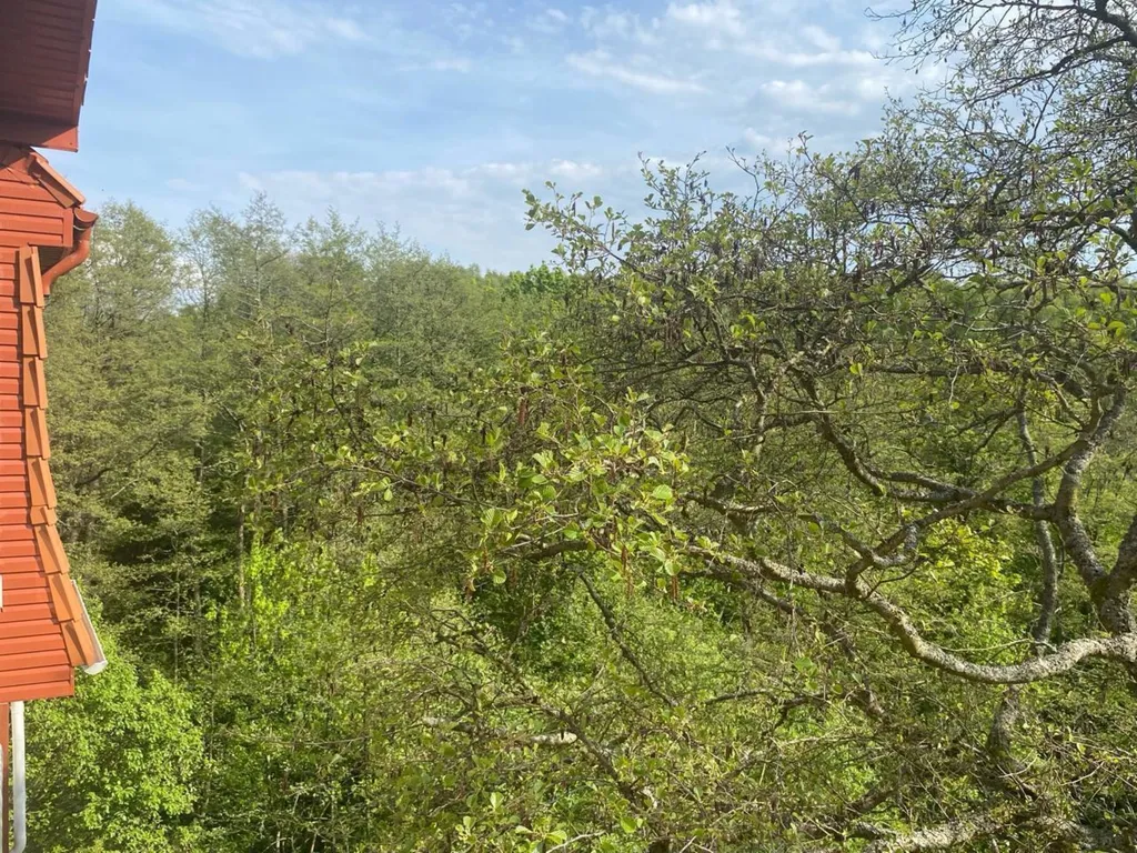 Квартира Уютная квартира — Светлогорск