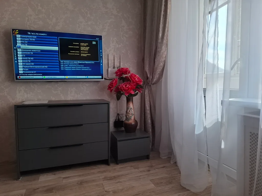 Уютная квартира с красивым видом на гору Эльбрус