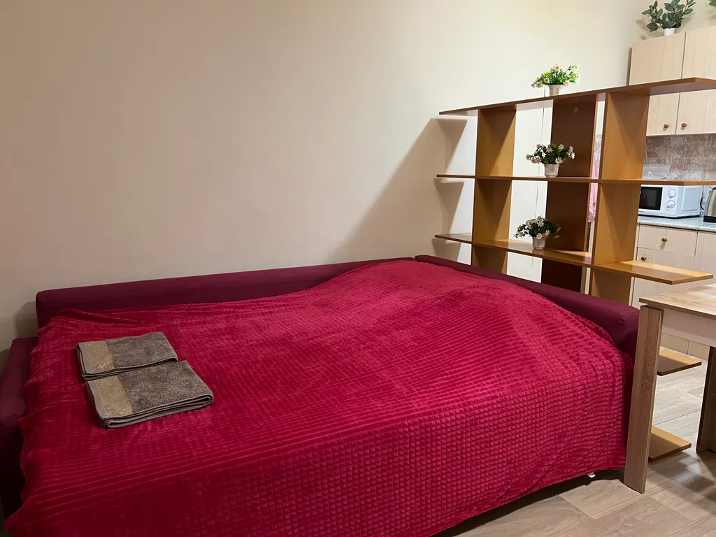 Студия с шикарным видом на лес