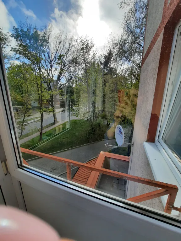 Квартира Уютная просторная квартира в тихом месте — Светлогорск