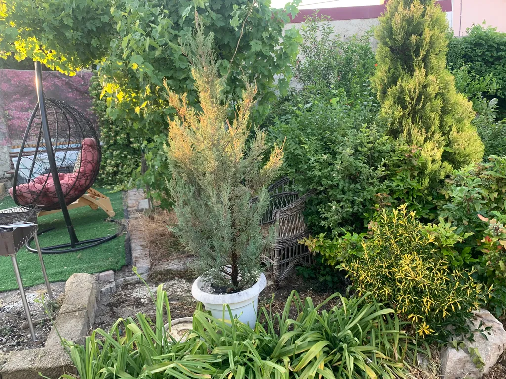 Уютная квартира студия в центре города