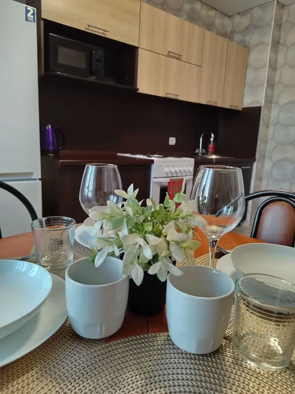 1-комнтная квартира для семейного отдыха и деловых поездок